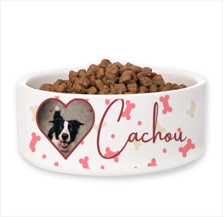 Gamelle chat ou chien personnalisable