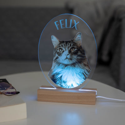 Lampe 3D LED personnalisée