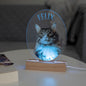 Lampe 3D LED personnalisée